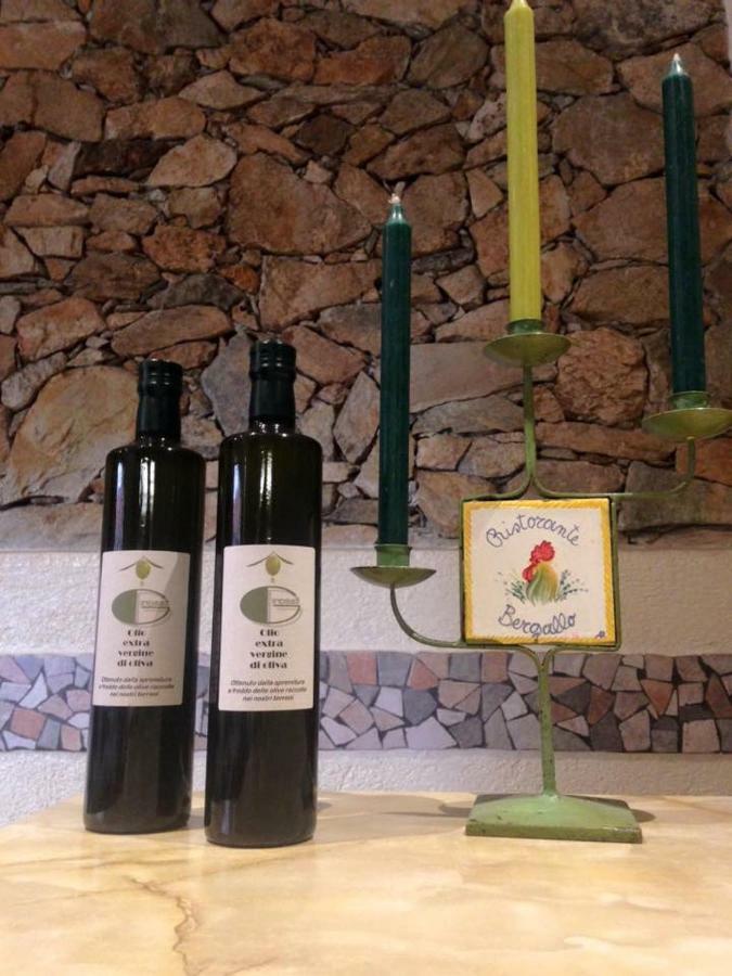 Albergo Ristorante Bergallo Tovo San Giacomo エクステリア 写真